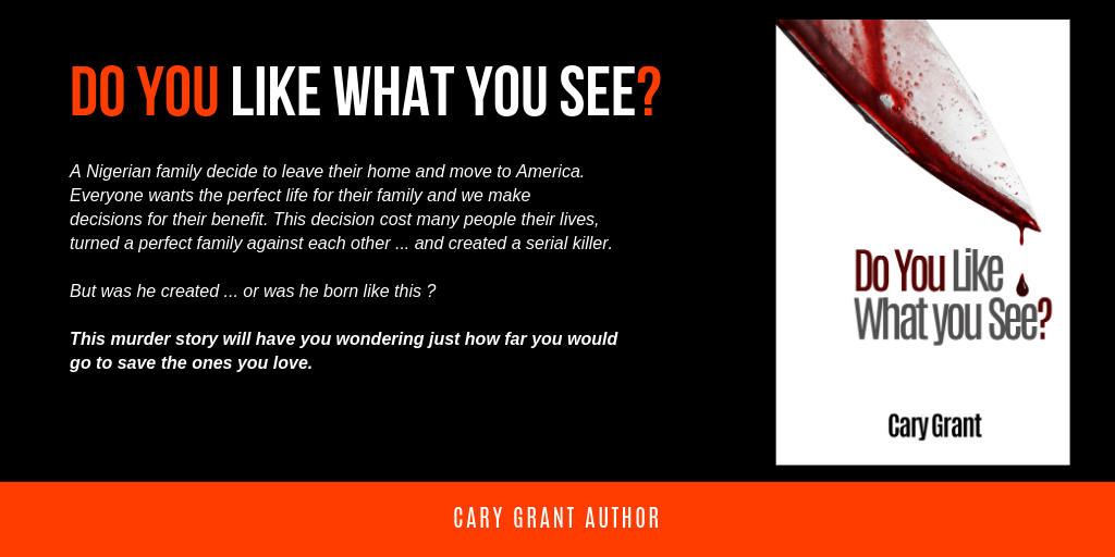 Do You Like What You See? Book Banner